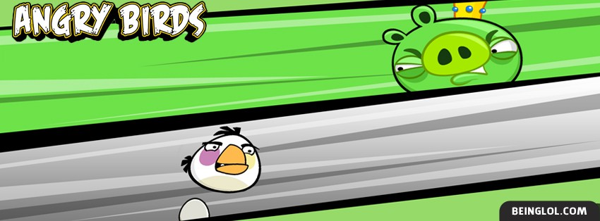 Angry Birds 3 Facebook Cover