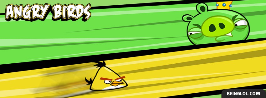 Angry Birds 4 Facebook Cover