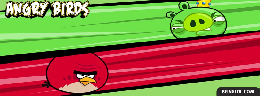 Angry Birds 5 Facebook Cover