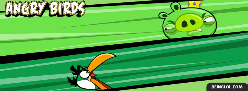 Angry Birds Facebook Cover