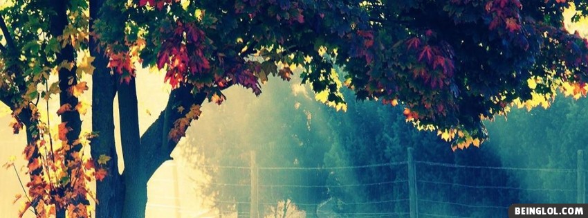 Autumn Tree Facebook Cover
