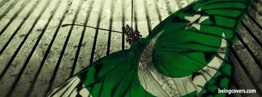 Butterfly Pakistan Flag Facebook Cover