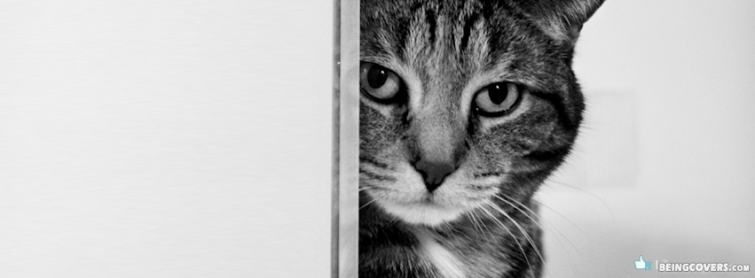 Cat Hiding Behind Door Black And White Facebook Cover