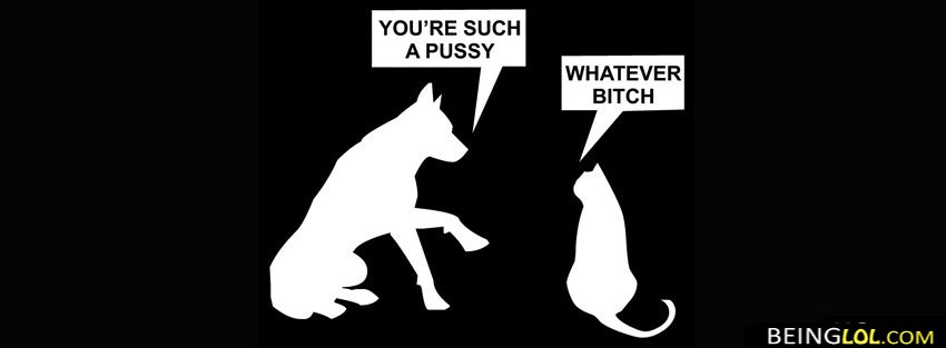 Dog And Cat Funny Cover Facebook Cover