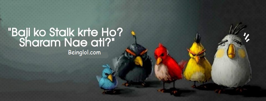 Funny Urdu Angry Birds Facebook Cover