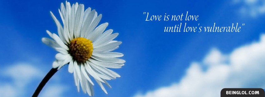 Love Is Not Love Facebook Cover