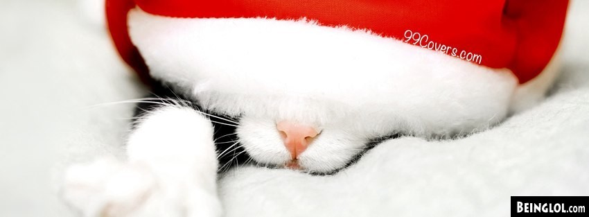 Santa Hat Cat Facebook Cover