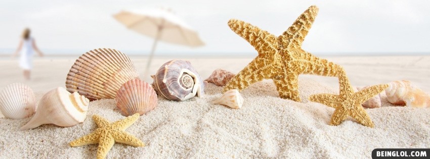 Seashells And Starfish Facebook Cover