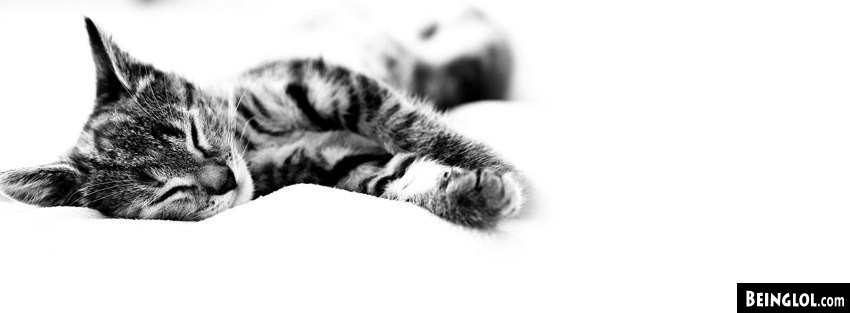 Sleepy Kitty Facebook Cover