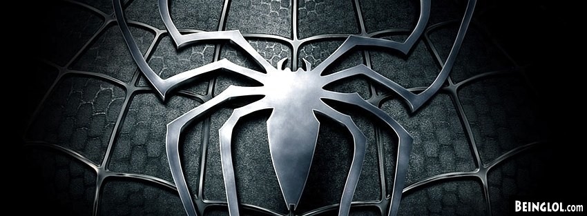 Spiderman Facebook Cover