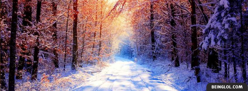 Winter Forest Facebook Cover