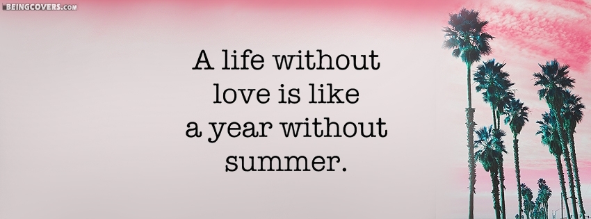 Year Without Summer Facebook Cover