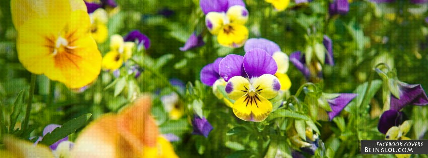 Yellow Flowers Facebook Cover