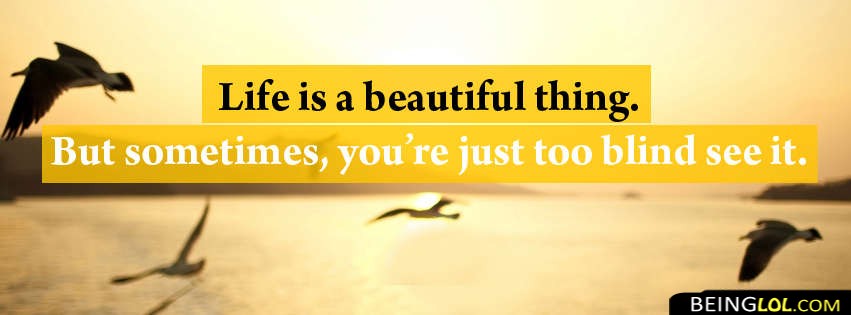Life Is A Beautiful Thing Facebook Cover