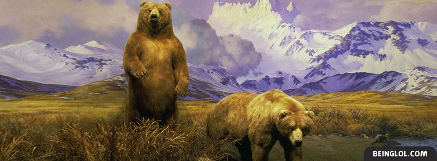 Alaskan Brown Bear Cover