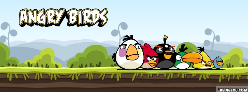 Angry Birds Cover