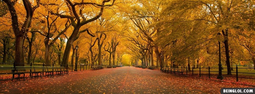 Autumn Trees Cover