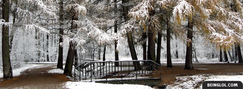 Beautiful Winter Snowy Forest 2 Facebook Cover