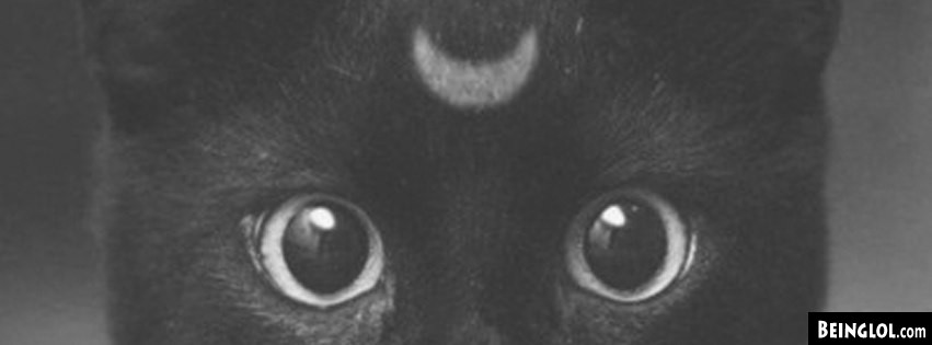 Black Cat Facebook Covers Cover