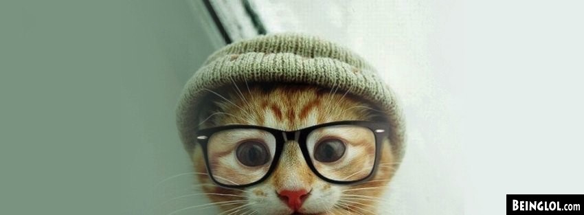 Cat Hat Glasses  Cover