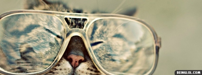 Cat Sunglasses Cover