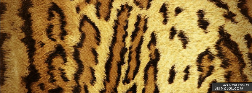Cheetah Print Cover