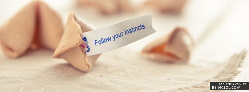 Follow Your Instincts Cover