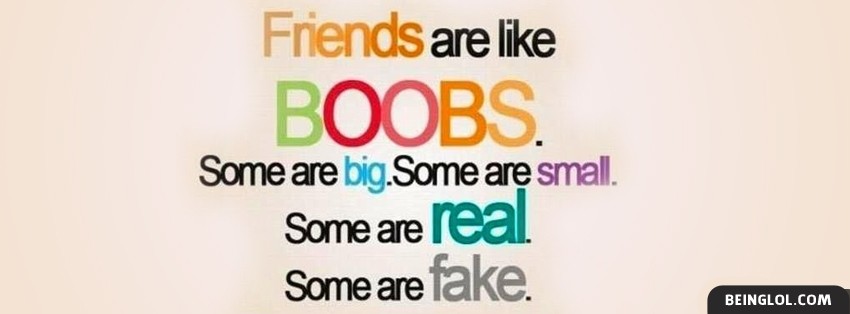 Friends Are Like Boobs Cover