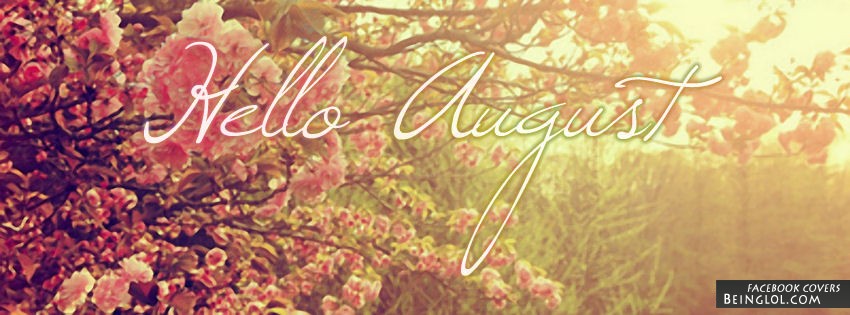 Hello August Cover