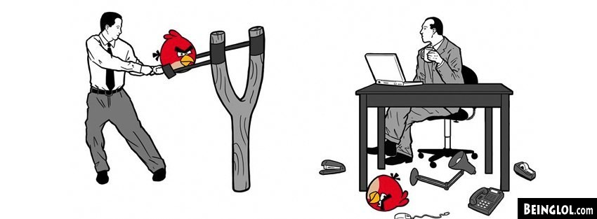Office Angry Birds  Cover