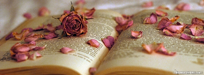 Old rose petals on a book Cover
