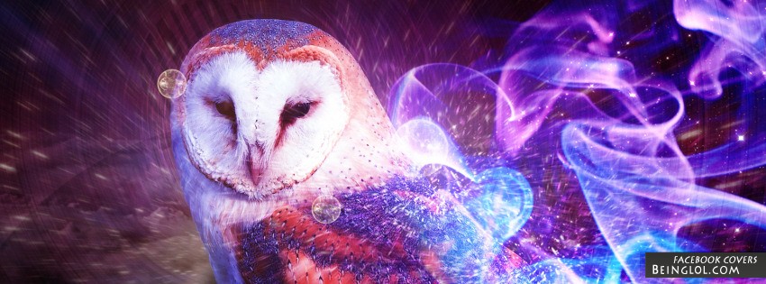 Owl Abstract Art Facebook Cover