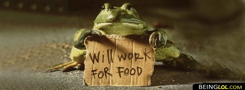 will work for food Cover